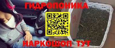 МДПВ Гай