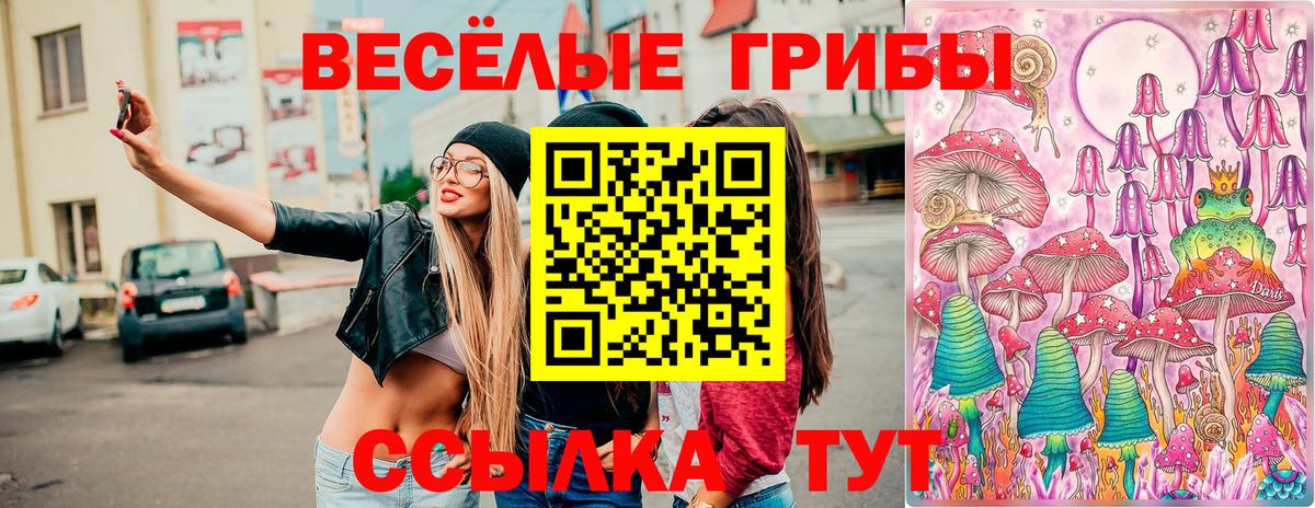 Галлюциногенные грибы GOLDEN TEACHER Обнинск