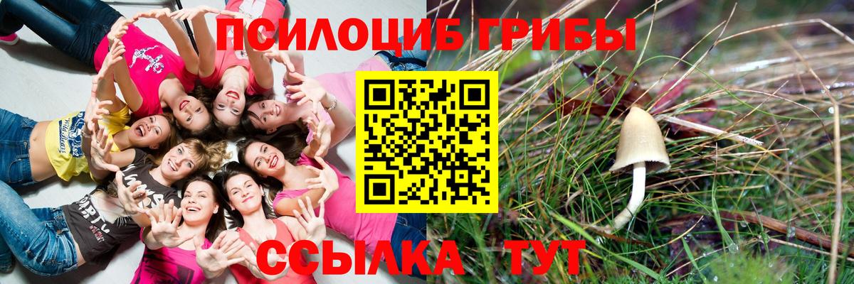 Обнинск  Галлюциногенные грибы мухоморы  Вход с VPN 
