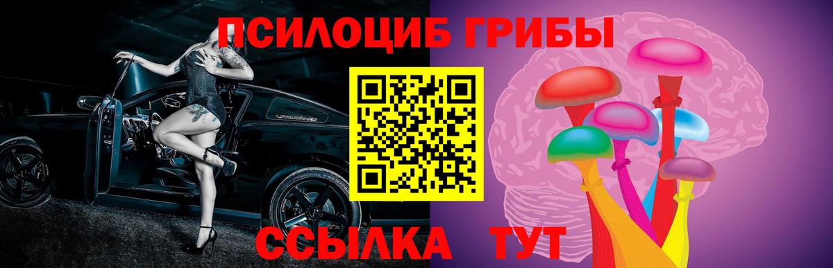 Псилоцибиновые грибы мицелий Обнинск